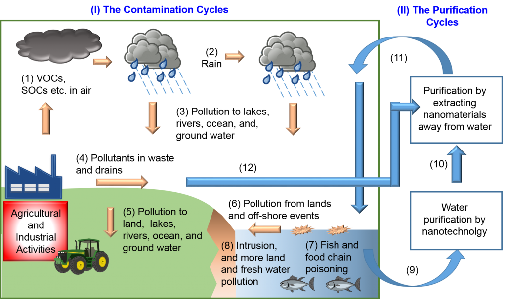 Environmental Impact